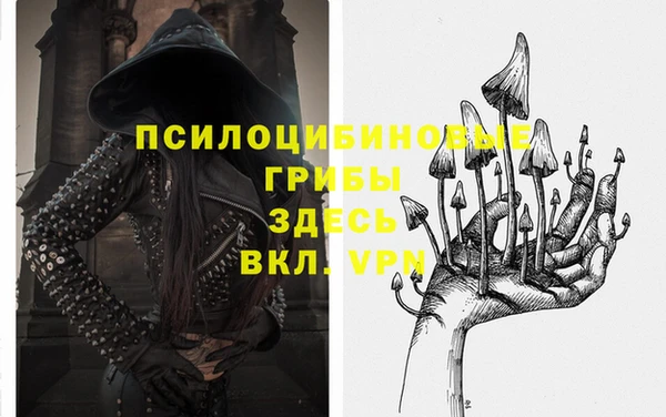 прущая мука Арсеньев